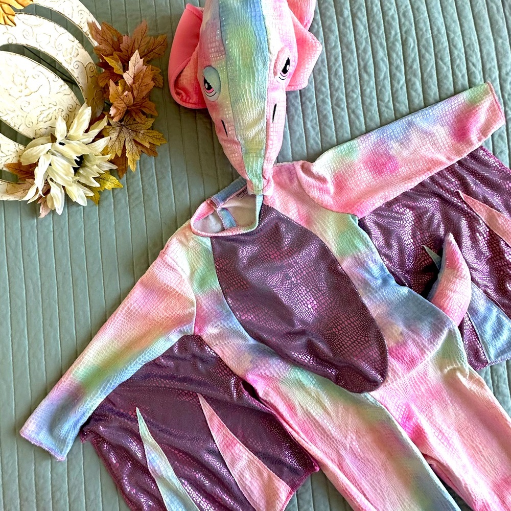 Dinosaur/Dragon costume